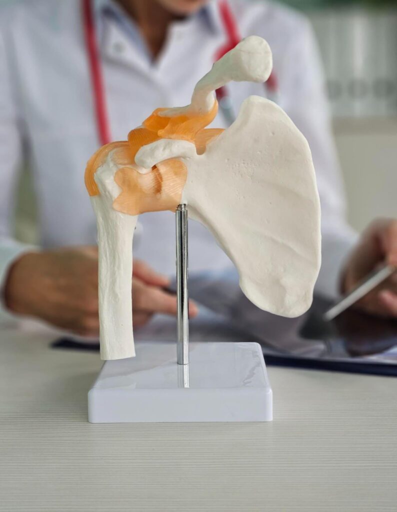 Gentle movement and exercise that speed hip replacement recovery